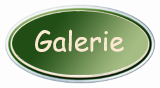 Galerie